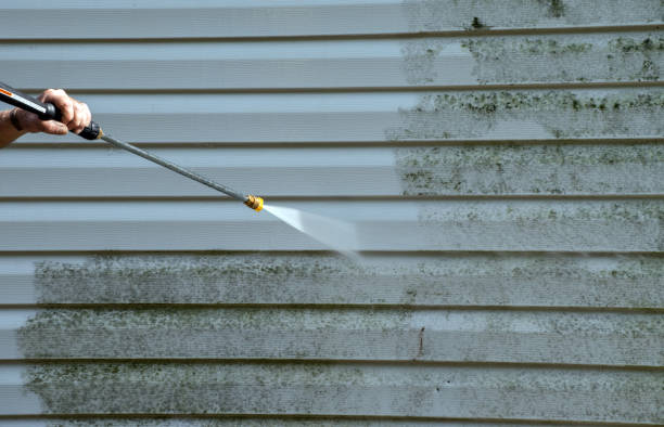 Roof Power Washing Services in Homestead, FL